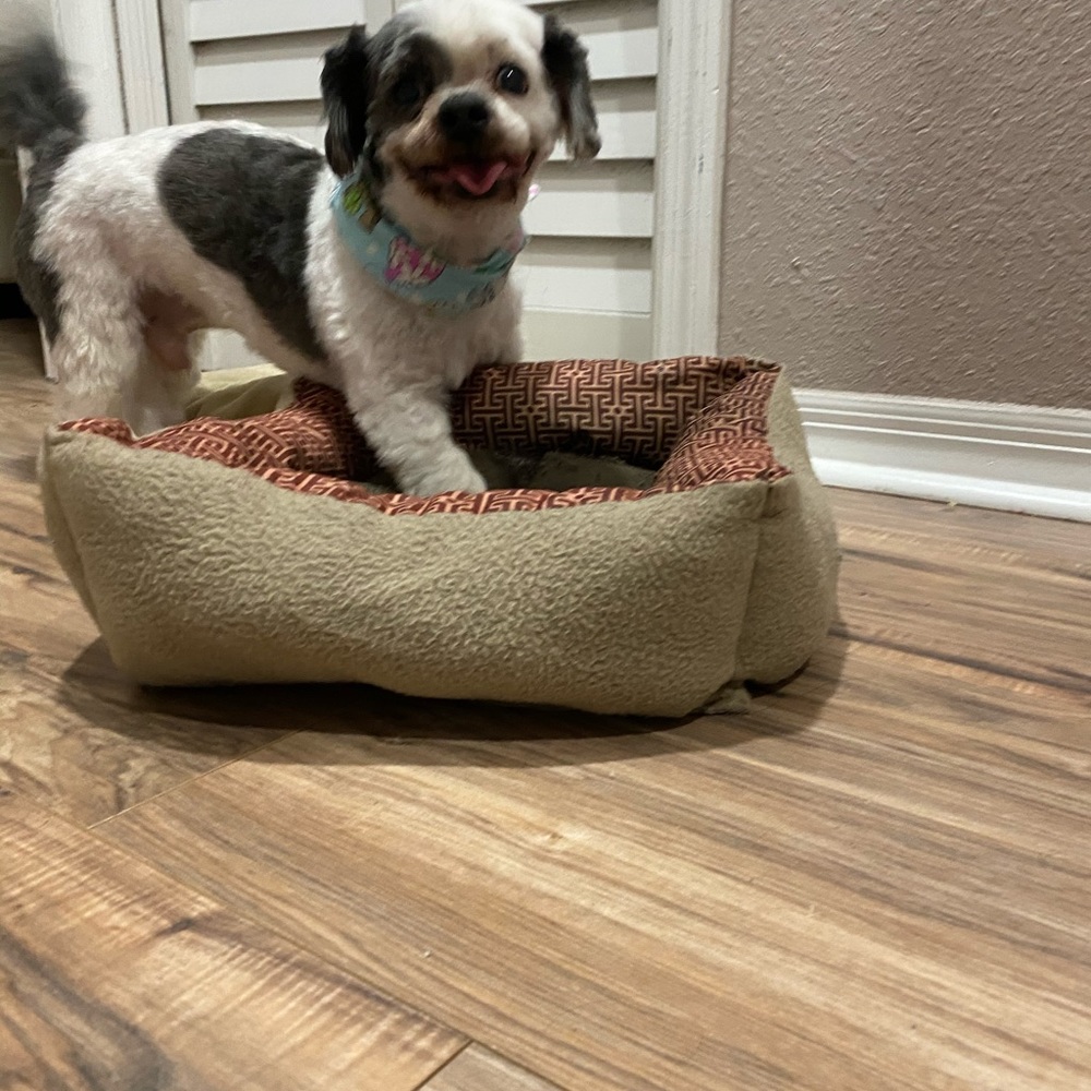 Meet your Posher, Isabel